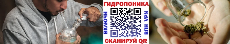 Бошки Шишки Bruce Banner  Ревда 